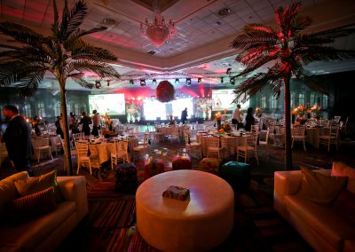 nedbank gala soiree | 9 March 2018